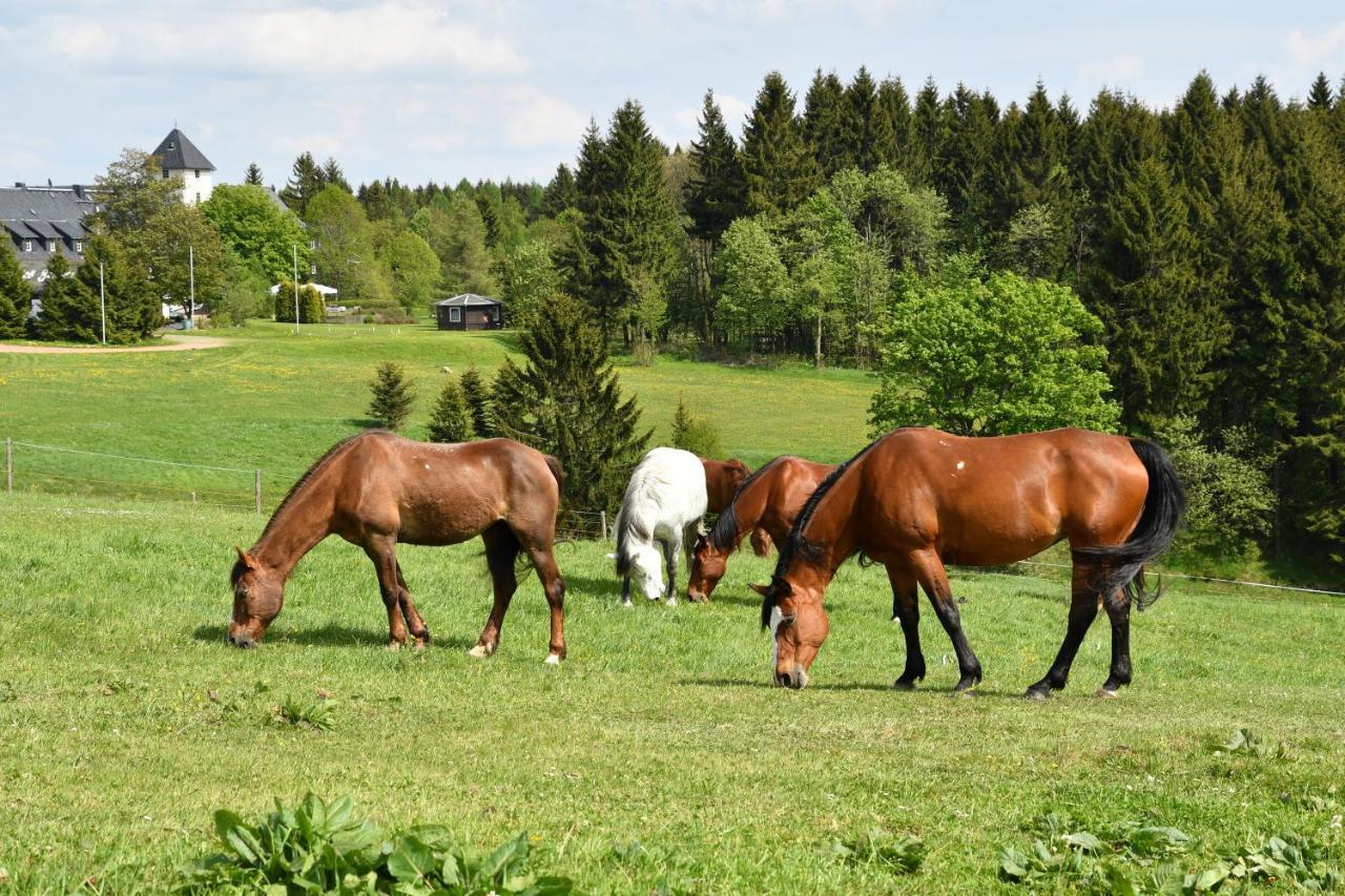 Landhotel Altes Zollhaus Hermsdorf  Bagian luar foto